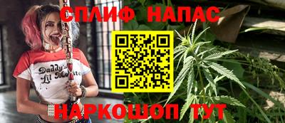 сатива Можайск